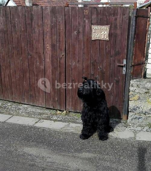 recreational property to rent, 0 m², Hříšice, Jihočeský Region recreational property to rent, 0 m², Hříšice, Jihočeský Region