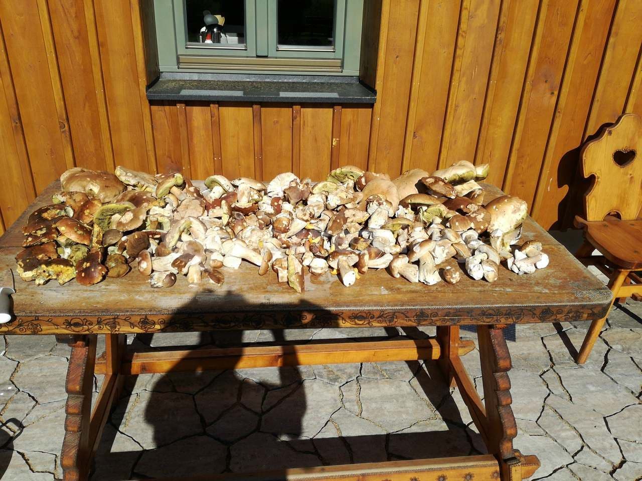 recreational property to rent, 0 m², Lenora, Jihočeský Region recreational property to rent, 0 m², Lenora, Jihočeský Region