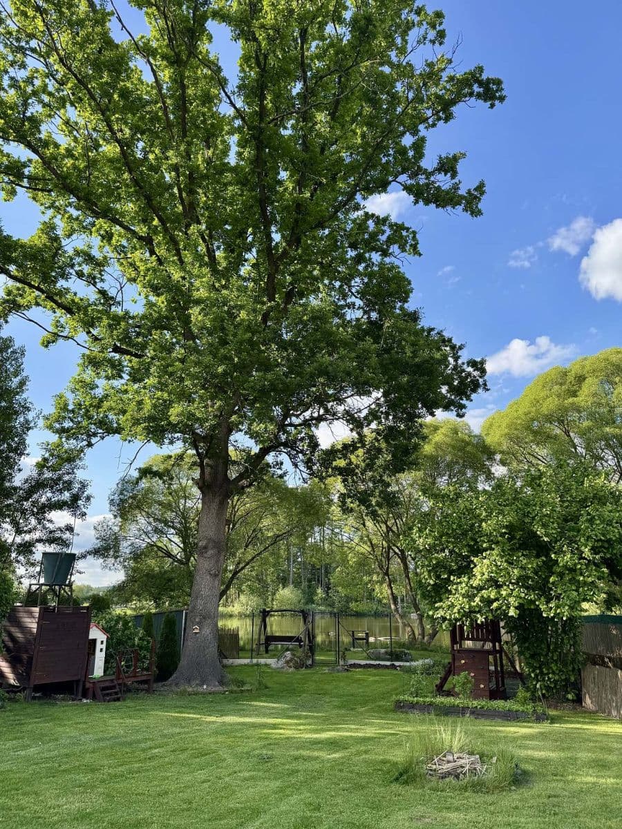 recreational property to rent, 0 m², Mačkov, Jihočeský Region recreational property to rent, 0 m², Mačkov, Jihočeský Region