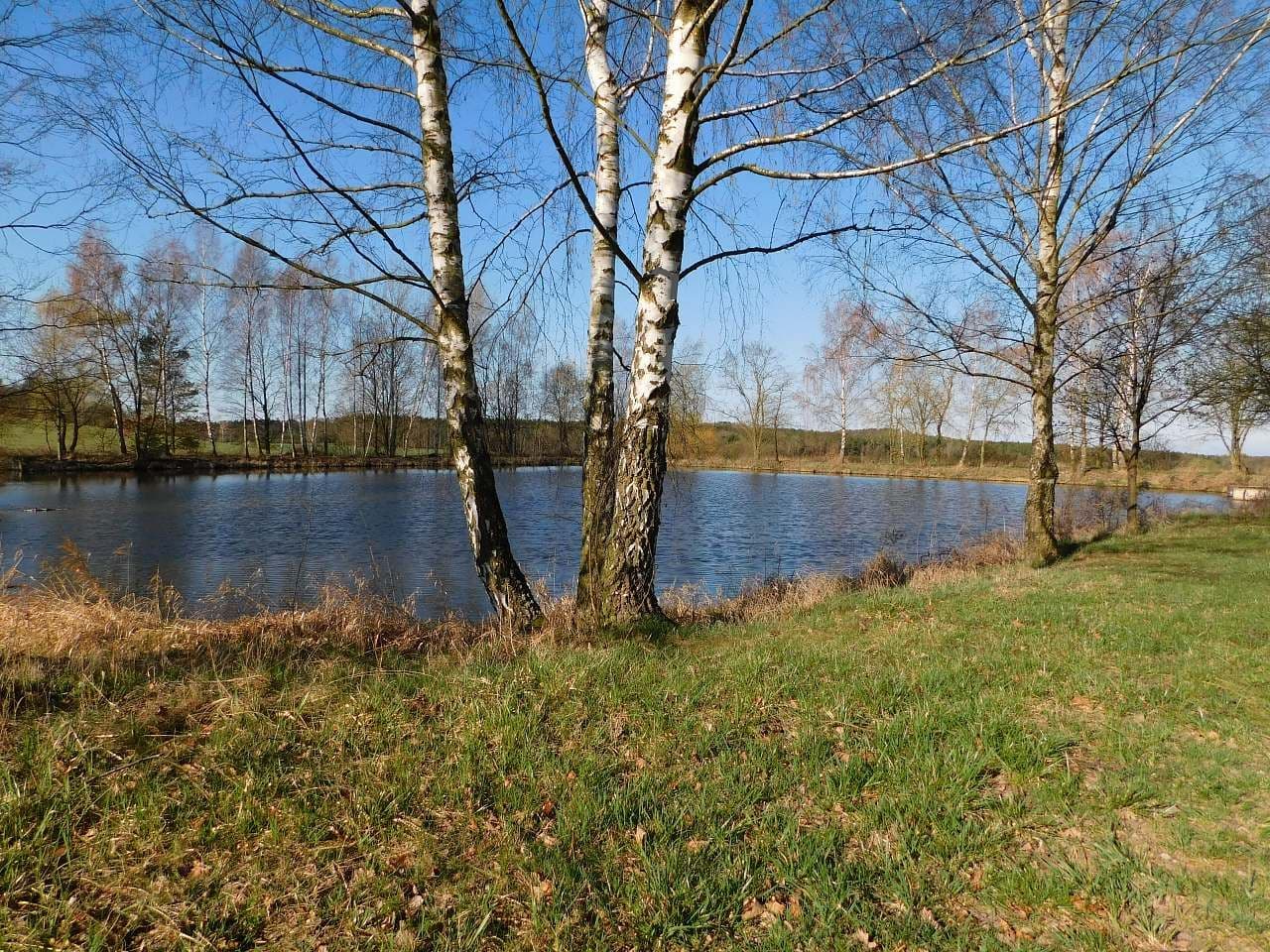 recreational property to rent, 0 m², Líšná, Plzeňský Region recreational property to rent, 0 m², Líšná, Plzeňský Region