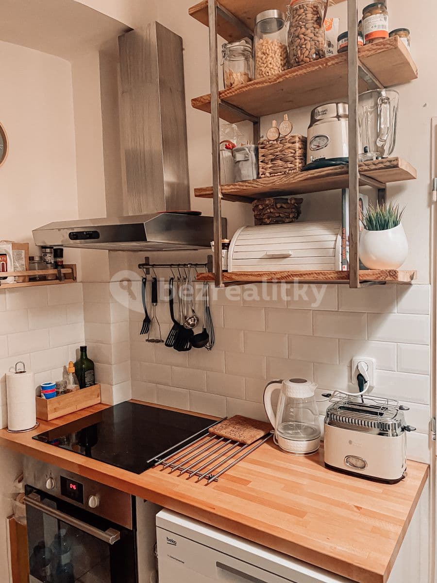 1 bedroom with open-plan kitchen flat to rent, 60 m², Lucemburská, Prague, Prague 1 bedroom with open-plan kitchen flat to rent, 60 m², Lucemburská, Prague, Prague