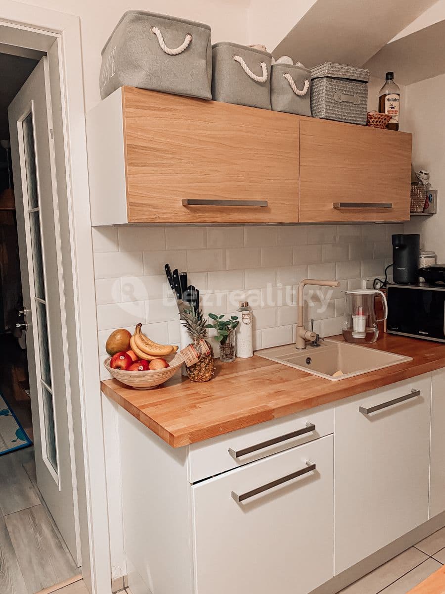 1 bedroom with open-plan kitchen flat to rent, 60 m², Lucemburská, Prague, Prague 1 bedroom with open-plan kitchen flat to rent, 60 m², Lucemburská, Prague, Prague
