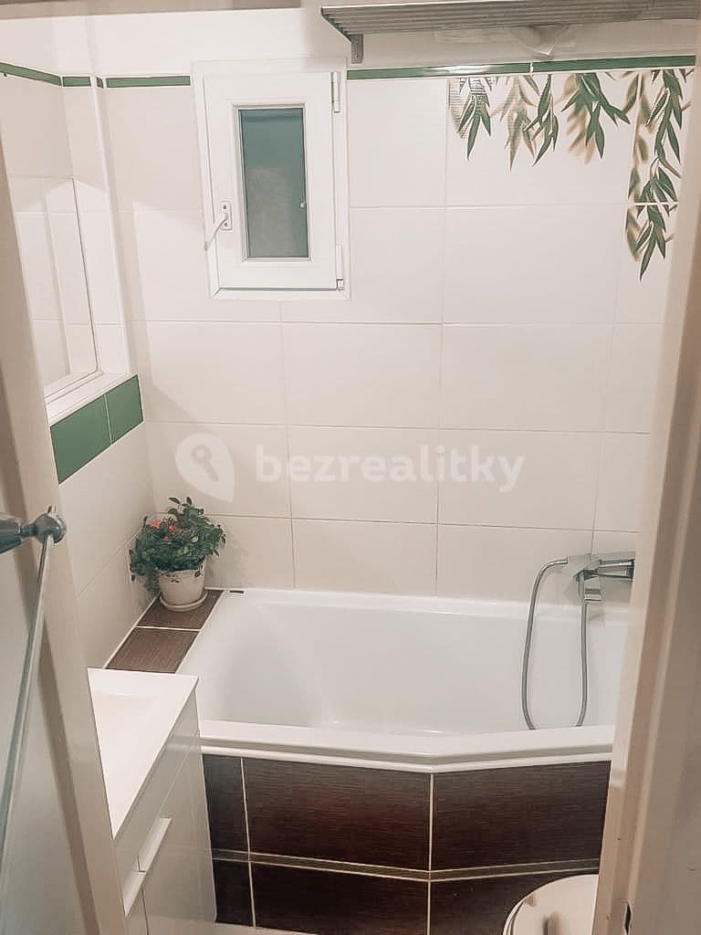 1 bedroom with open-plan kitchen flat to rent, 60 m², Lucemburská, Prague, Prague 1 bedroom with open-plan kitchen flat to rent, 60 m², Lucemburská, Prague, Prague