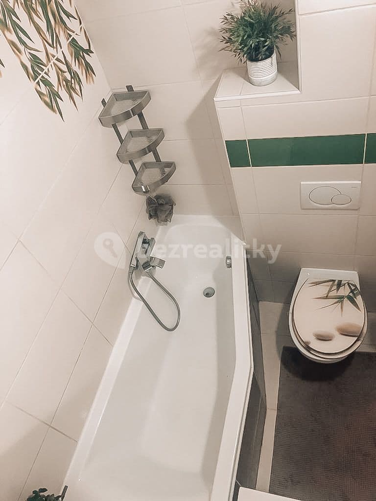 1 bedroom with open-plan kitchen flat to rent, 60 m², Lucemburská, Prague, Prague 1 bedroom with open-plan kitchen flat to rent, 60 m², Lucemburská, Prague, Prague