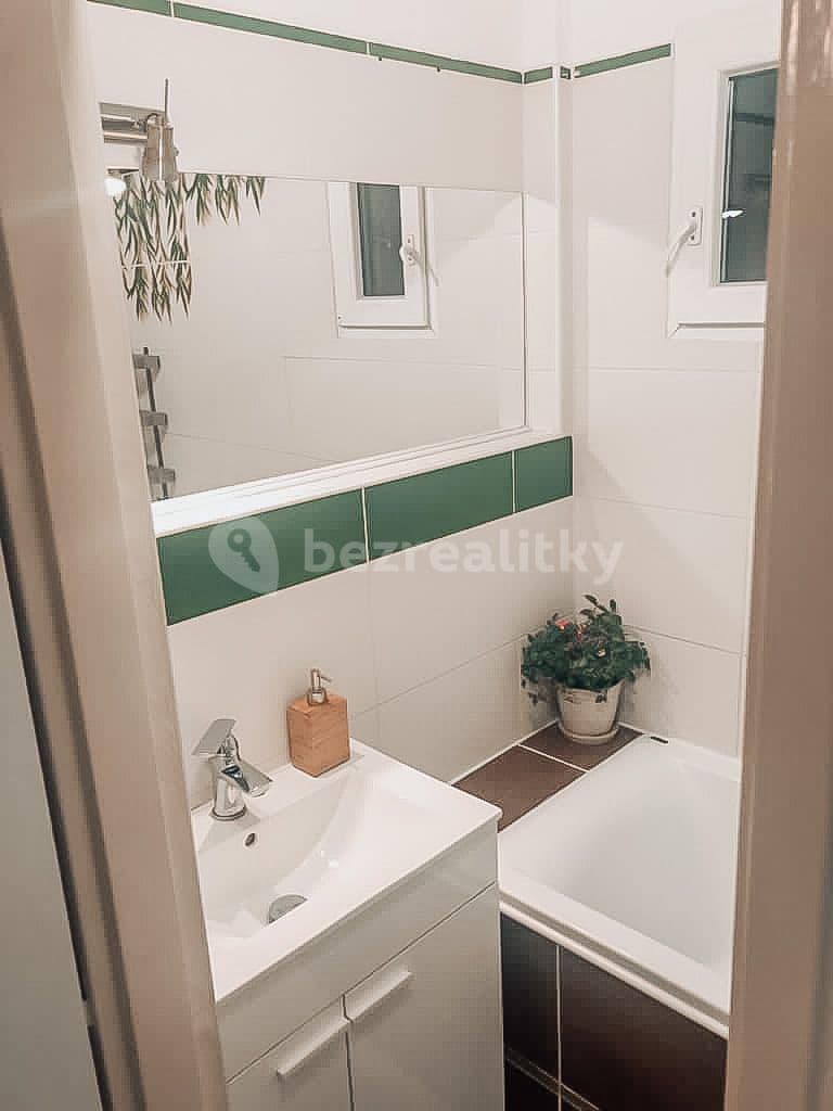 1 bedroom with open-plan kitchen flat to rent, 60 m², Lucemburská, Prague, Prague 1 bedroom with open-plan kitchen flat to rent, 60 m², Lucemburská, Prague, Prague