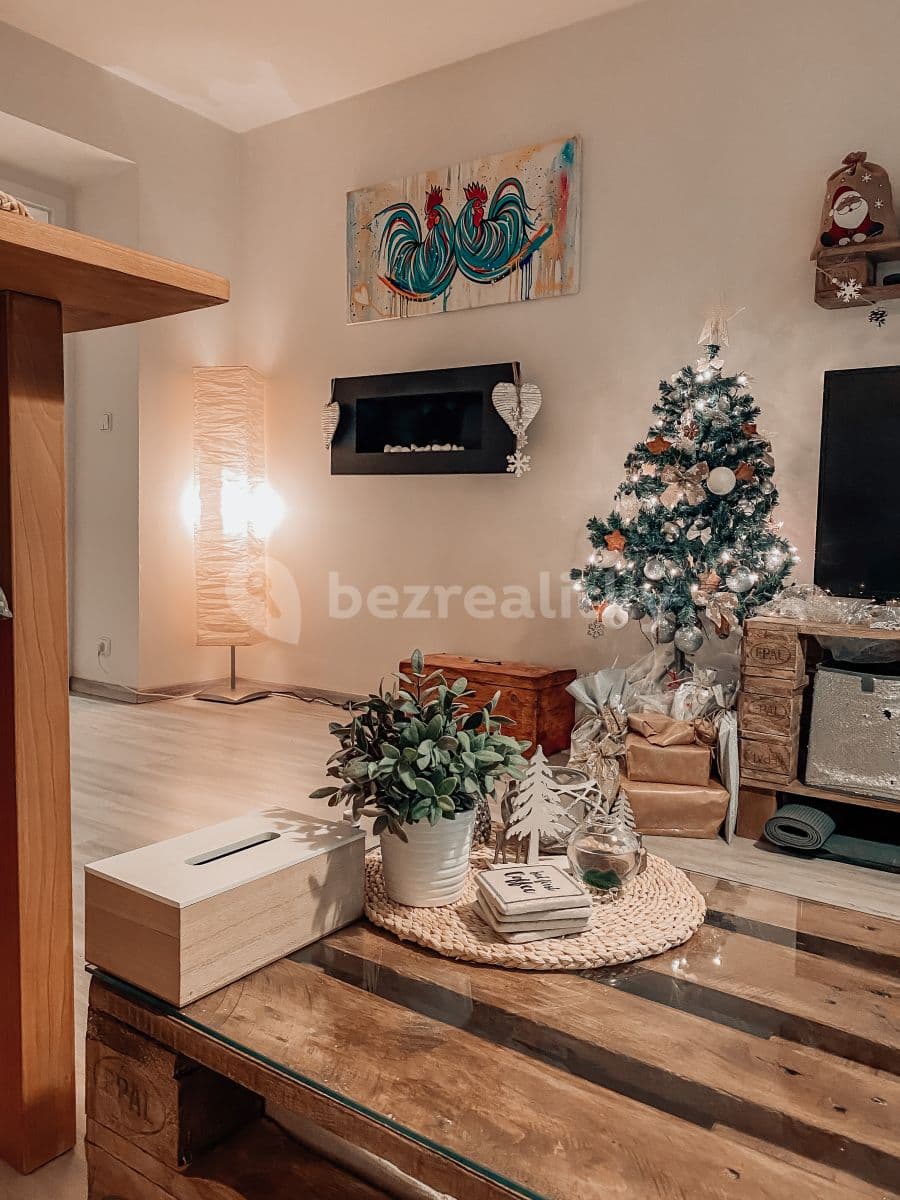 1 bedroom with open-plan kitchen flat to rent, 60 m², Lucemburská, Prague, Prague 1 bedroom with open-plan kitchen flat to rent, 60 m², Lucemburská, Prague, Prague