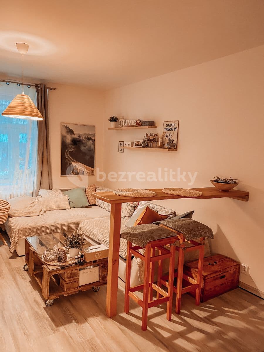 1 bedroom with open-plan kitchen flat to rent, 60 m², Lucemburská, Prague, Prague 1 bedroom with open-plan kitchen flat to rent, 60 m², Lucemburská, Prague, Prague