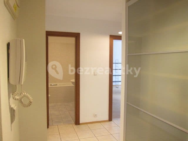 1 bedroom with open-plan kitchen flat to rent, 65 m², Paťanka, Prague, Prague 1 bedroom with open-plan kitchen flat to rent, 65 m², Paťanka, Prague, Prague