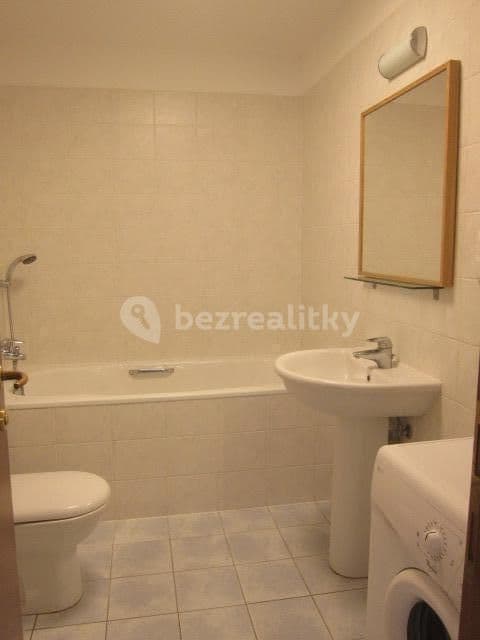 1 bedroom with open-plan kitchen flat to rent, 65 m², Paťanka, Prague, Prague 1 bedroom with open-plan kitchen flat to rent, 65 m², Paťanka, Prague, Prague