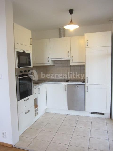1 bedroom with open-plan kitchen flat to rent, 65 m², Paťanka, Prague, Prague 1 bedroom with open-plan kitchen flat to rent, 65 m², Paťanka, Prague, Prague