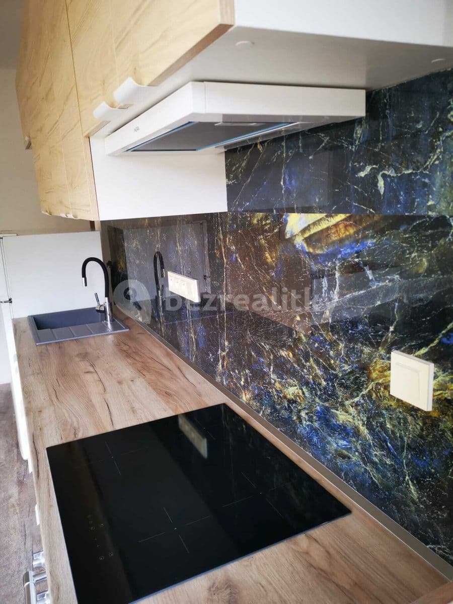 1 bedroom with open-plan kitchen flat to rent, 39 m², Úvoz, Brno, Jihomoravský Region 1 bedroom with open-plan kitchen flat to rent, 39 m², Úvoz, Brno, Jihomoravský Region