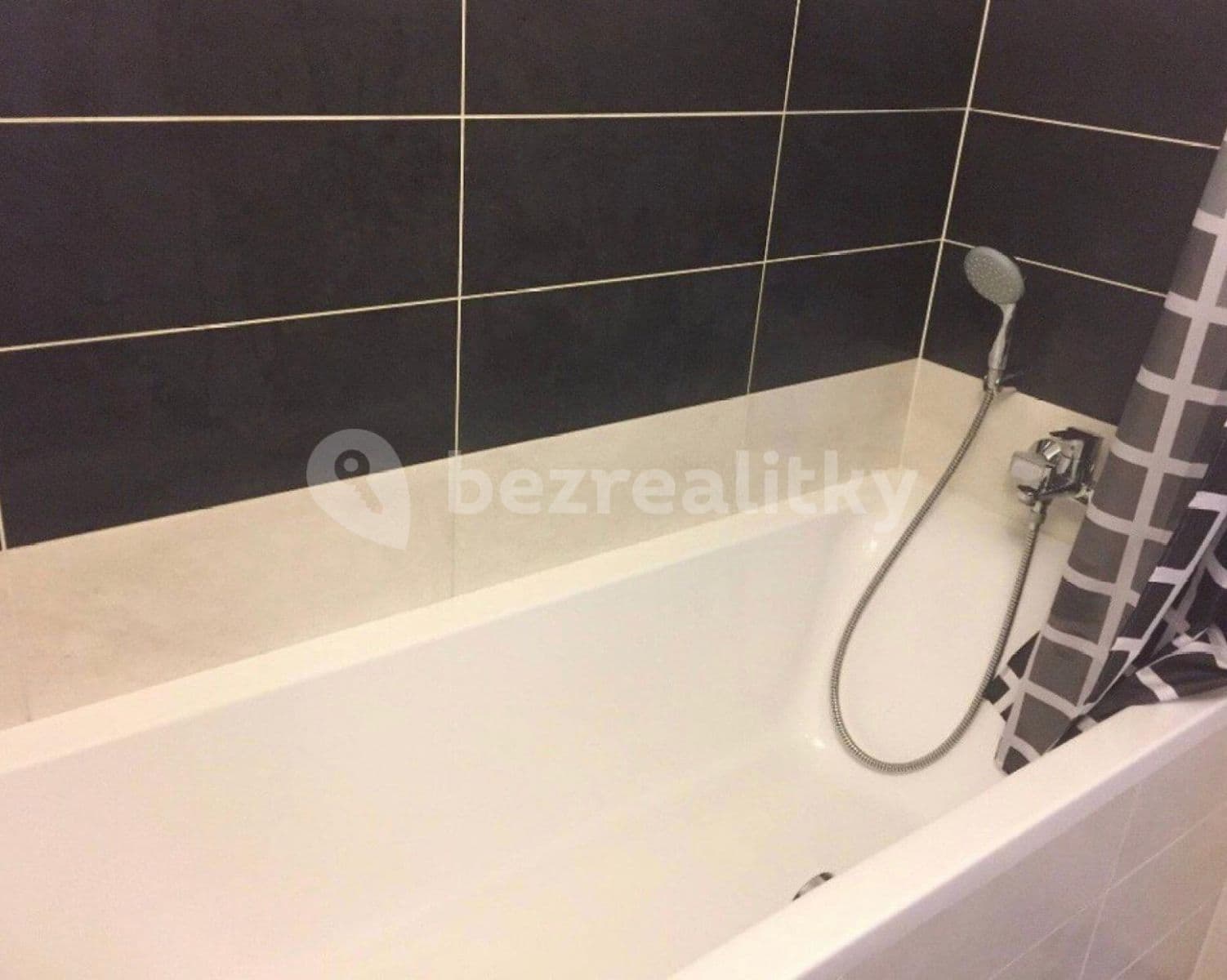 1 bedroom with open-plan kitchen flat to rent, 57 m², Bartoškova, Prague, Prague 1 bedroom with open-plan kitchen flat to rent, 57 m², Bartoškova, Prague, Prague