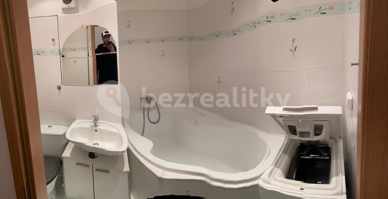 1 bedroom with open-plan kitchen flat to rent, 41 m², Daškova, Prague, Prague 1 bedroom with open-plan kitchen flat to rent, 41 m², Daškova, Prague, Prague