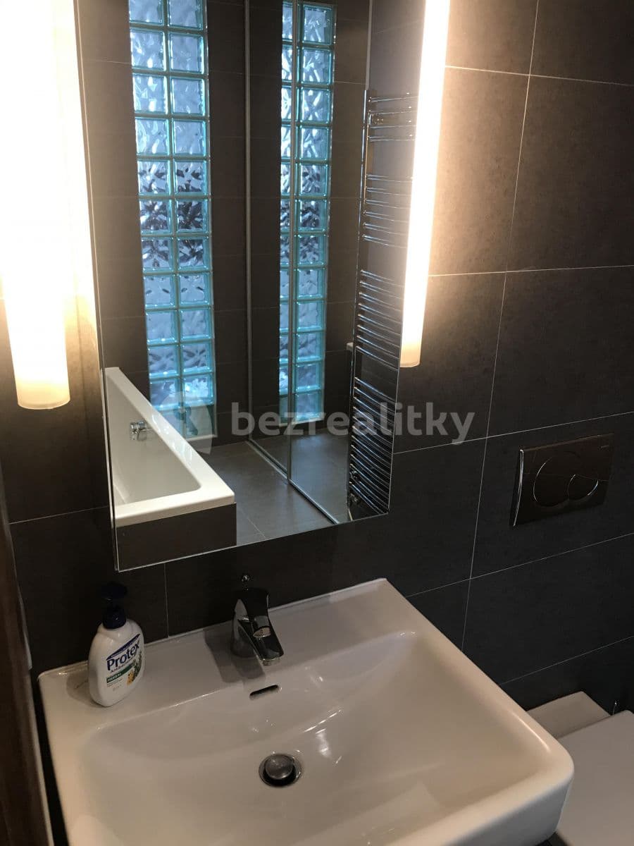 1 bedroom with open-plan kitchen flat to rent, 50 m², Sobotecká, Prague, Prague 1 bedroom with open-plan kitchen flat to rent, 50 m², Sobotecká, Prague, Prague