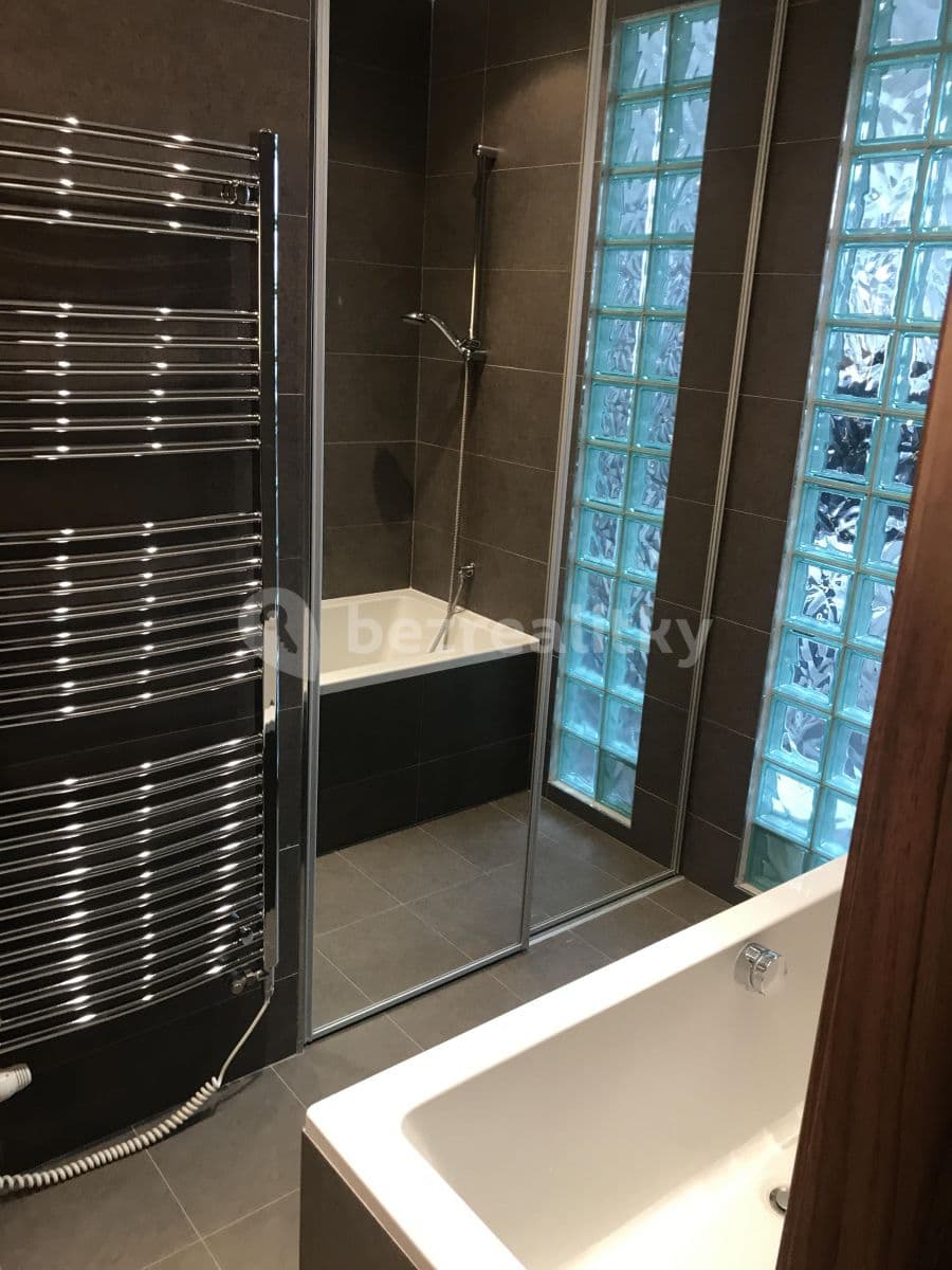 1 bedroom with open-plan kitchen flat to rent, 50 m², Sobotecká, Prague, Prague 1 bedroom with open-plan kitchen flat to rent, 50 m², Sobotecká, Prague, Prague