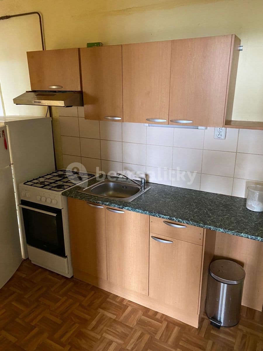 1 bedroom with open-plan kitchen flat to rent, 55 m², Na Veselí, Prague, Prague 1 bedroom with open-plan kitchen flat to rent, 55 m², Na Veselí, Prague, Prague