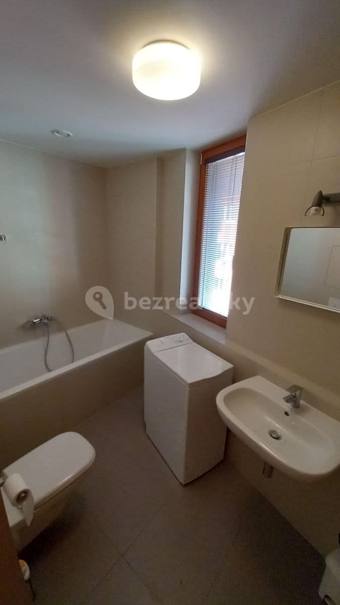 1 bedroom with open-plan kitchen flat to rent, 42 m², U Hranic, Prague, Prague 1 bedroom with open-plan kitchen flat to rent, 42 m², U Hranic, Prague, Prague
