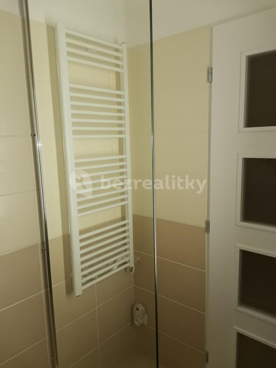 Small studio flat to rent, 26 m², Na Míčánkách, Prague, Prague Small studio flat to rent, 26 m², Na Míčánkách, Prague, Prague