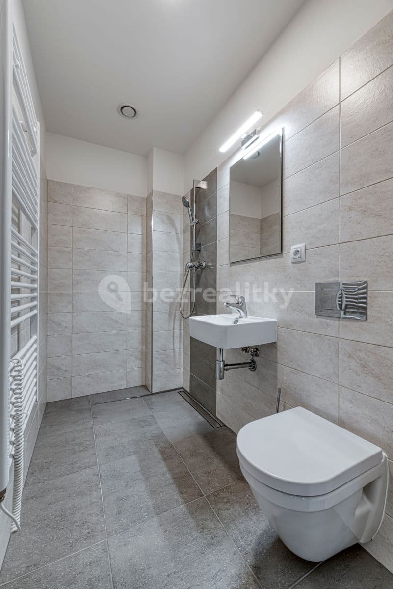1 bedroom with open-plan kitchen flat to rent, 22 m², Mukařovského, Prague, Prague 1 bedroom with open-plan kitchen flat to rent, 22 m², Mukařovského, Prague, Prague