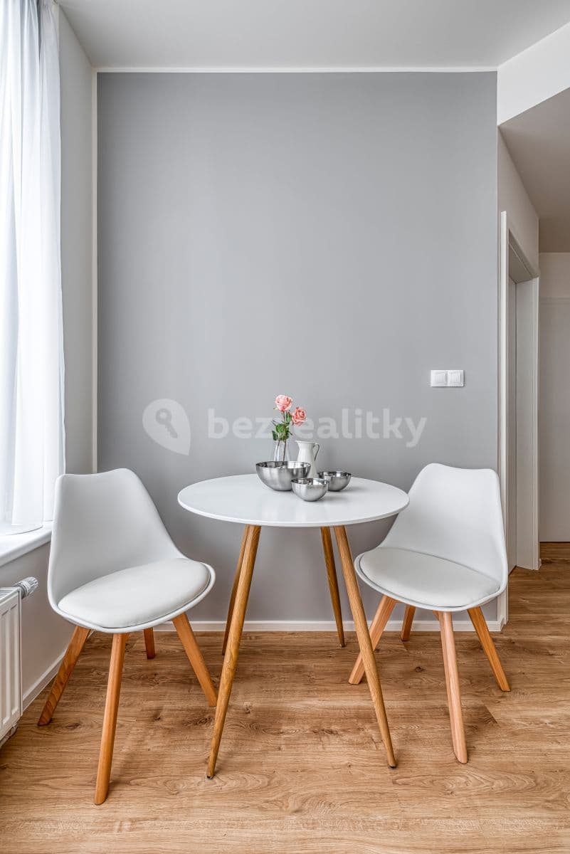 1 bedroom with open-plan kitchen flat to rent, 22 m², Mukařovského, Prague, Prague 1 bedroom with open-plan kitchen flat to rent, 22 m², Mukařovského, Prague, Prague