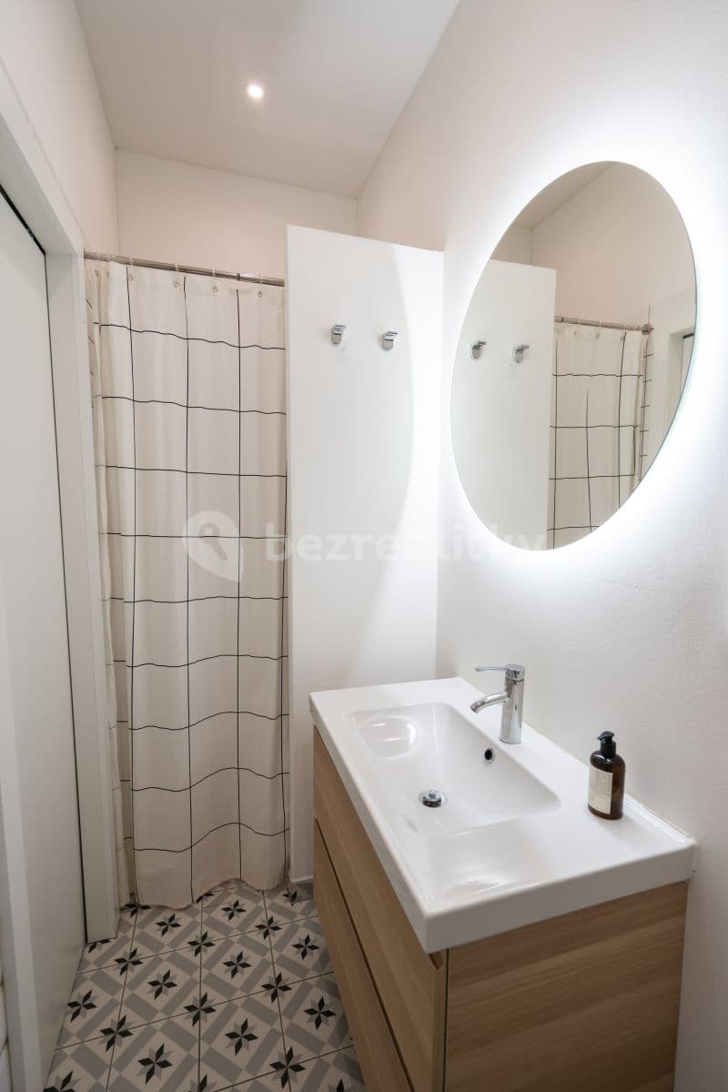 1 bedroom with open-plan kitchen flat to rent, 40 m², Heleny Malířové, Prague, Prague 1 bedroom with open-plan kitchen flat to rent, 40 m², Heleny Malířové, Prague, Prague