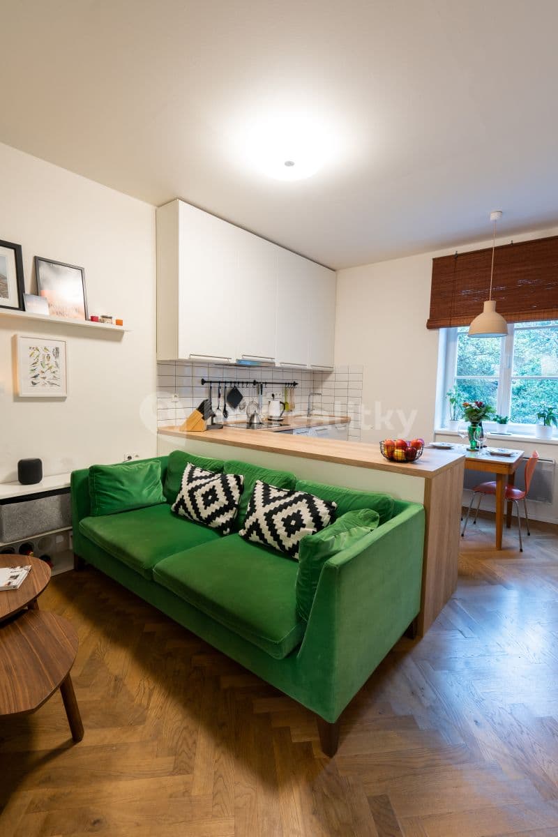 1 bedroom with open-plan kitchen flat to rent, 40 m², Heleny Malířové, Prague, Prague 1 bedroom with open-plan kitchen flat to rent, 40 m², Heleny Malířové, Prague, Prague