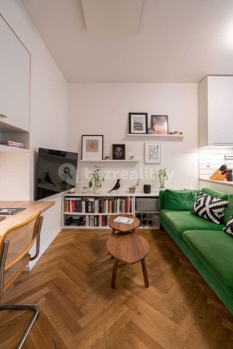 1 bedroom with open-plan kitchen flat to rent, 40 m², Heleny Malířové, Prague, Prague 1 bedroom with open-plan kitchen flat to rent, 40 m², Heleny Malířové, Prague, Prague