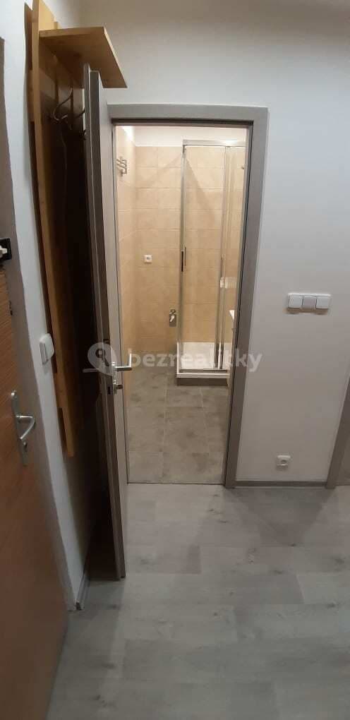 Studio flat to rent, 32 m², Ševelova, Brno, Jihomoravský Region Studio flat to rent, 32 m², Ševelova, Brno, Jihomoravský Region