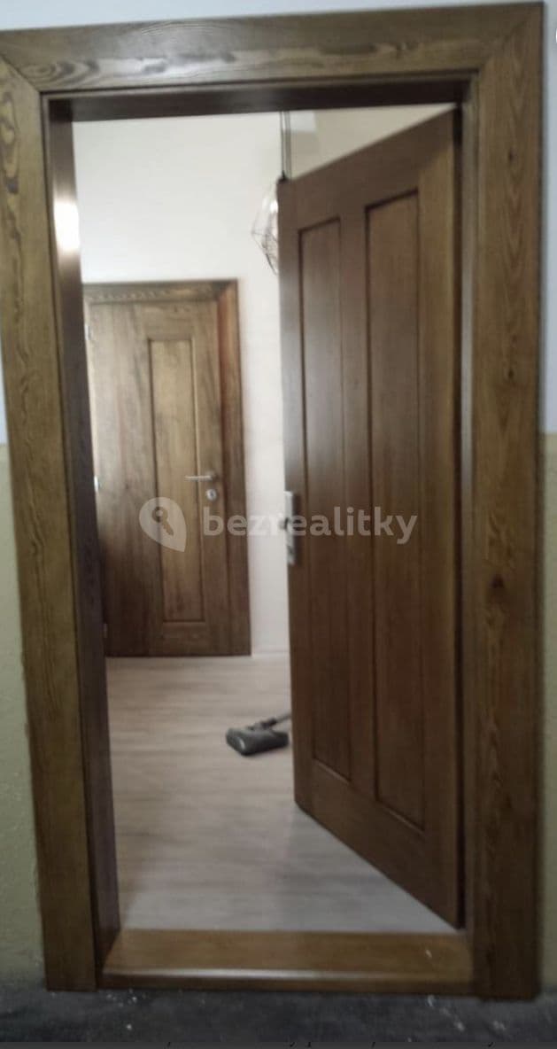 1 bedroom with open-plan kitchen flat to rent, 49 m², Bořivojova, Prague, Prague 1 bedroom with open-plan kitchen flat to rent, 49 m², Bořivojova, Prague, Prague