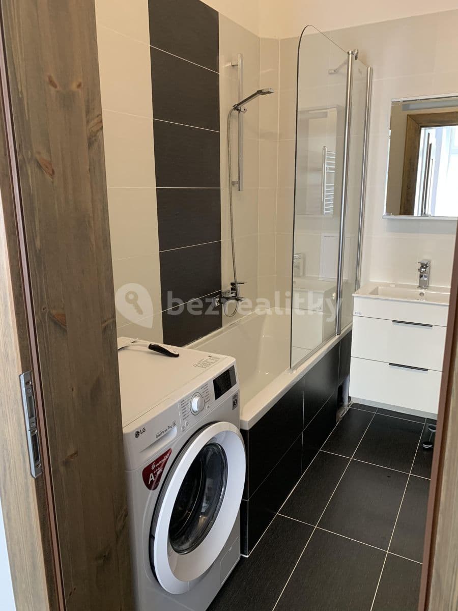 1 bedroom with open-plan kitchen flat to rent, 49 m², Bořivojova, Prague, Prague 1 bedroom with open-plan kitchen flat to rent, 49 m², Bořivojova, Prague, Prague