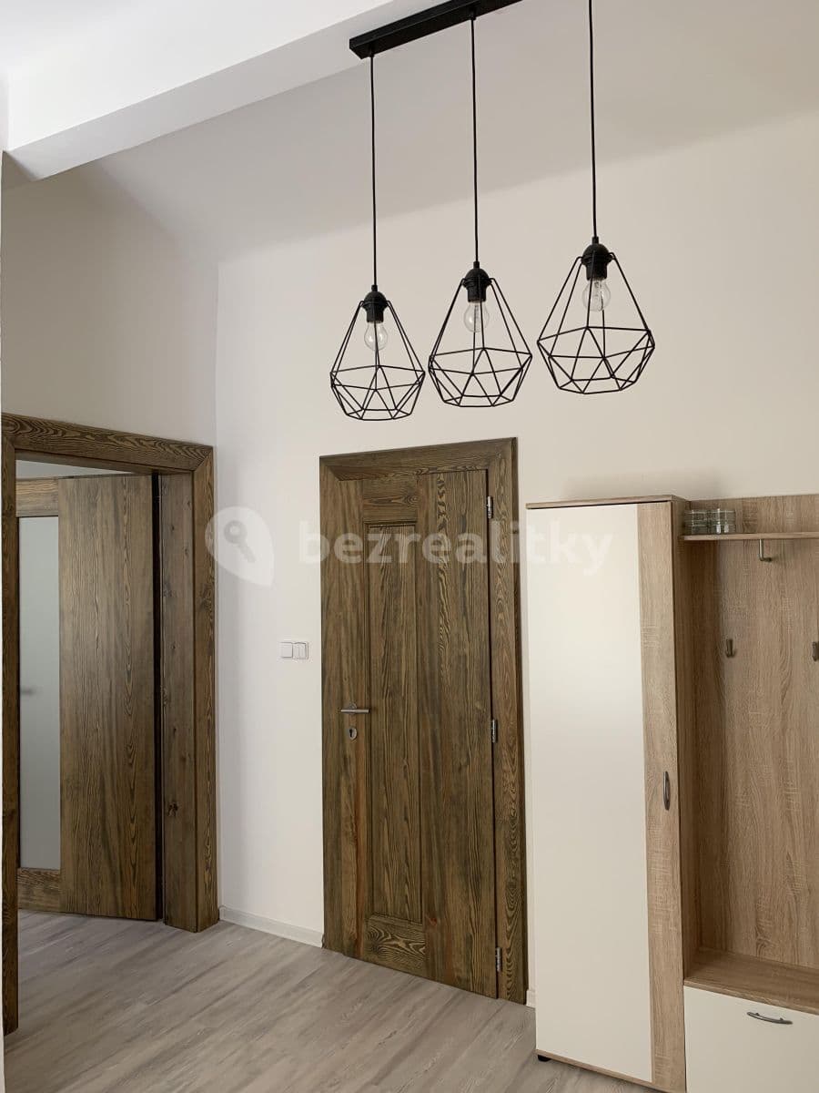 1 bedroom with open-plan kitchen flat to rent, 49 m², Bořivojova, Prague, Prague 1 bedroom with open-plan kitchen flat to rent, 49 m², Bořivojova, Prague, Prague