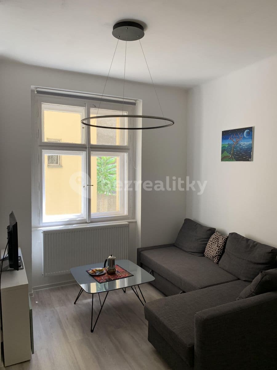 1 bedroom with open-plan kitchen flat to rent, 49 m², Bořivojova, Prague, Prague 1 bedroom with open-plan kitchen flat to rent, 49 m², Bořivojova, Prague, Prague