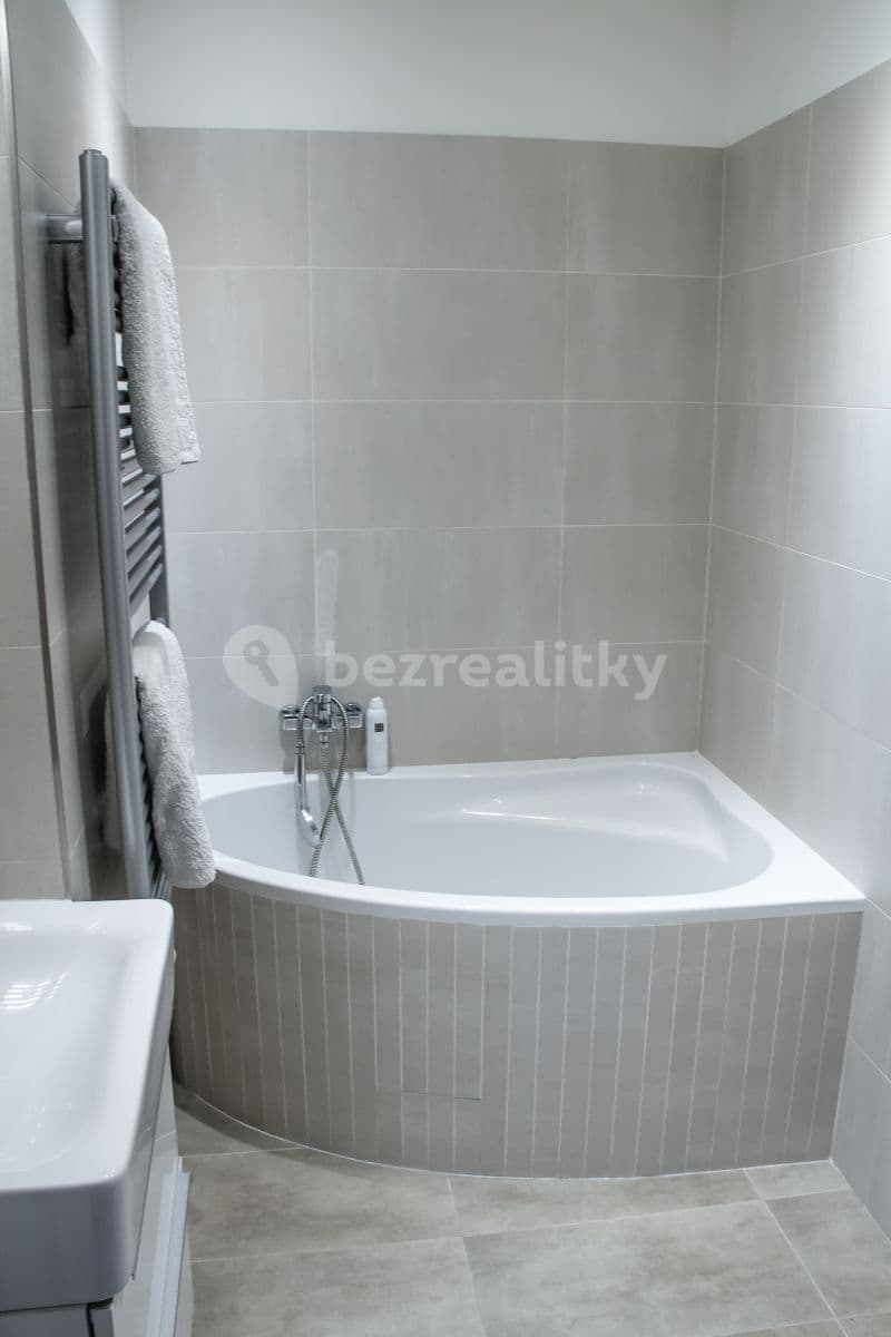 1 bedroom with open-plan kitchen flat to rent, 50 m², Vodárenská, Prague, Prague 1 bedroom with open-plan kitchen flat to rent, 50 m², Vodárenská, Prague, Prague