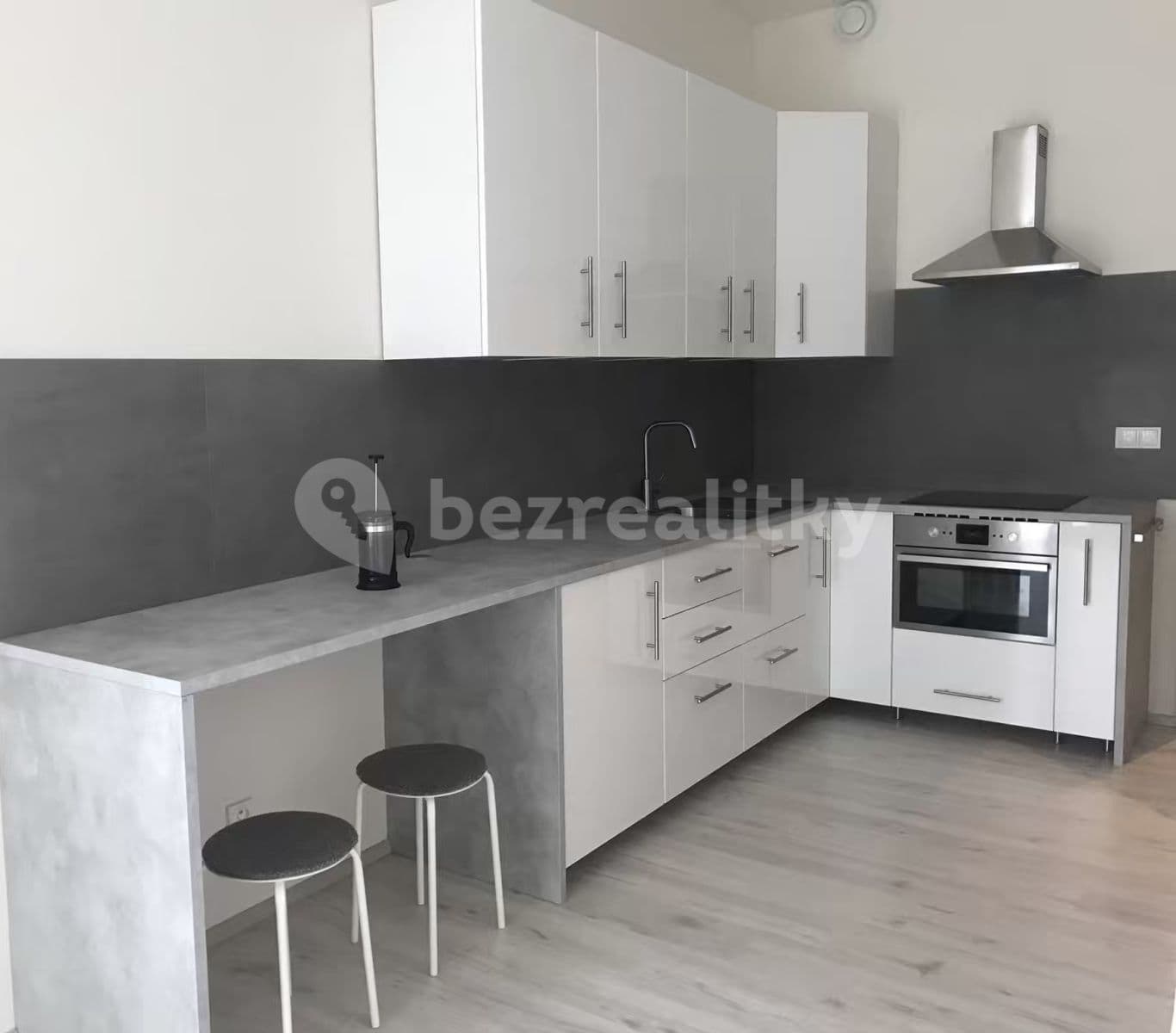 1 bedroom with open-plan kitchen flat to rent, 55 m², Mlýnská, Brno, Jihomoravský Region 1 bedroom with open-plan kitchen flat to rent, 55 m², Mlýnská, Brno, Jihomoravský Region