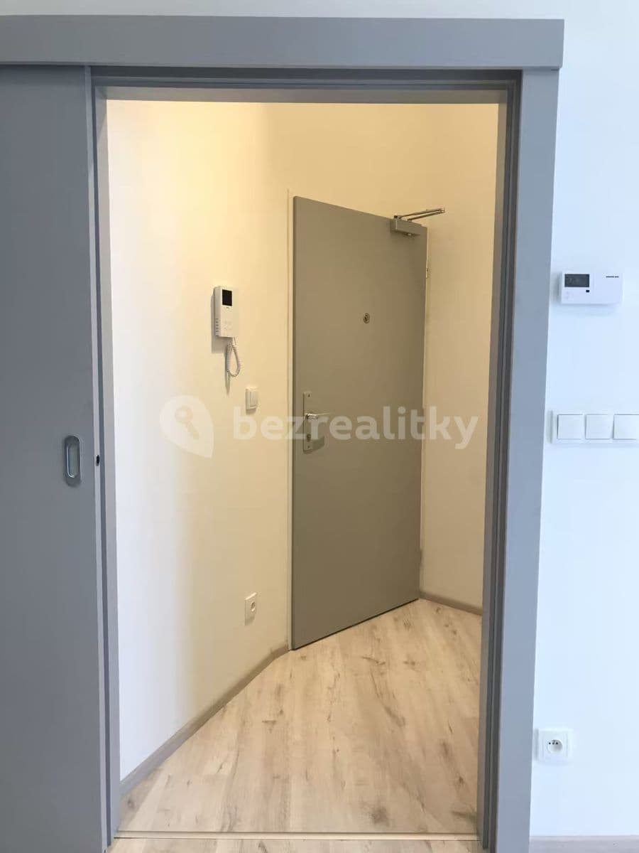 1 bedroom with open-plan kitchen flat to rent, 55 m², Mlýnská, Brno, Jihomoravský Region 1 bedroom with open-plan kitchen flat to rent, 55 m², Mlýnská, Brno, Jihomoravský Region