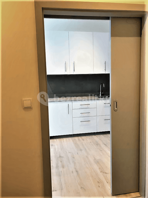 1 bedroom with open-plan kitchen flat to rent, 55 m², Mlýnská, Brno, Jihomoravský Region 1 bedroom with open-plan kitchen flat to rent, 55 m², Mlýnská, Brno, Jihomoravský Region