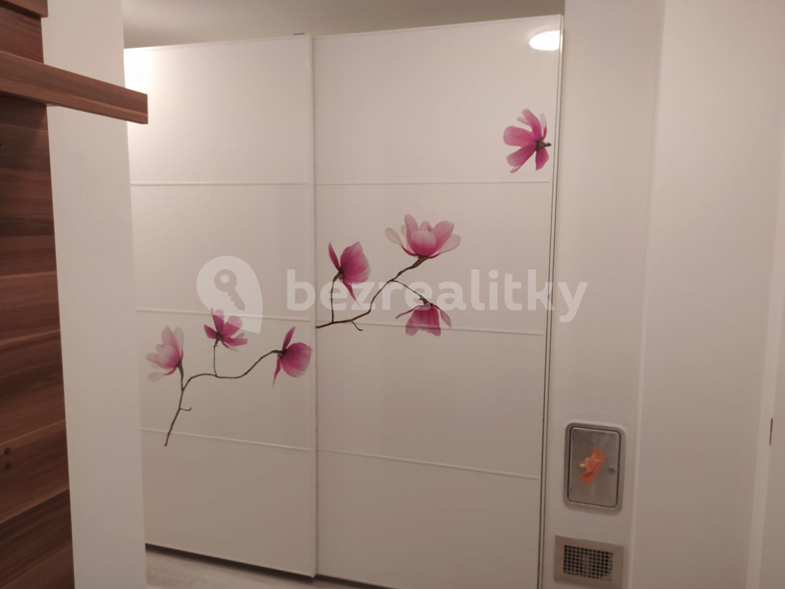 2 bedroom with open-plan kitchen flat to rent, 62 m², Oleksovice, Jihomoravský Region
