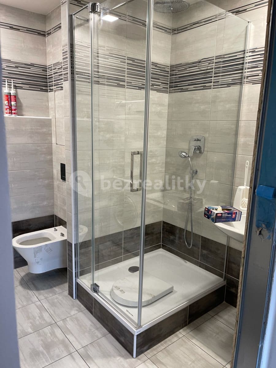 1 bedroom with open-plan kitchen flat to rent, 46 m², Prague, Prague 1 bedroom with open-plan kitchen flat to rent, 46 m², Prague, Prague