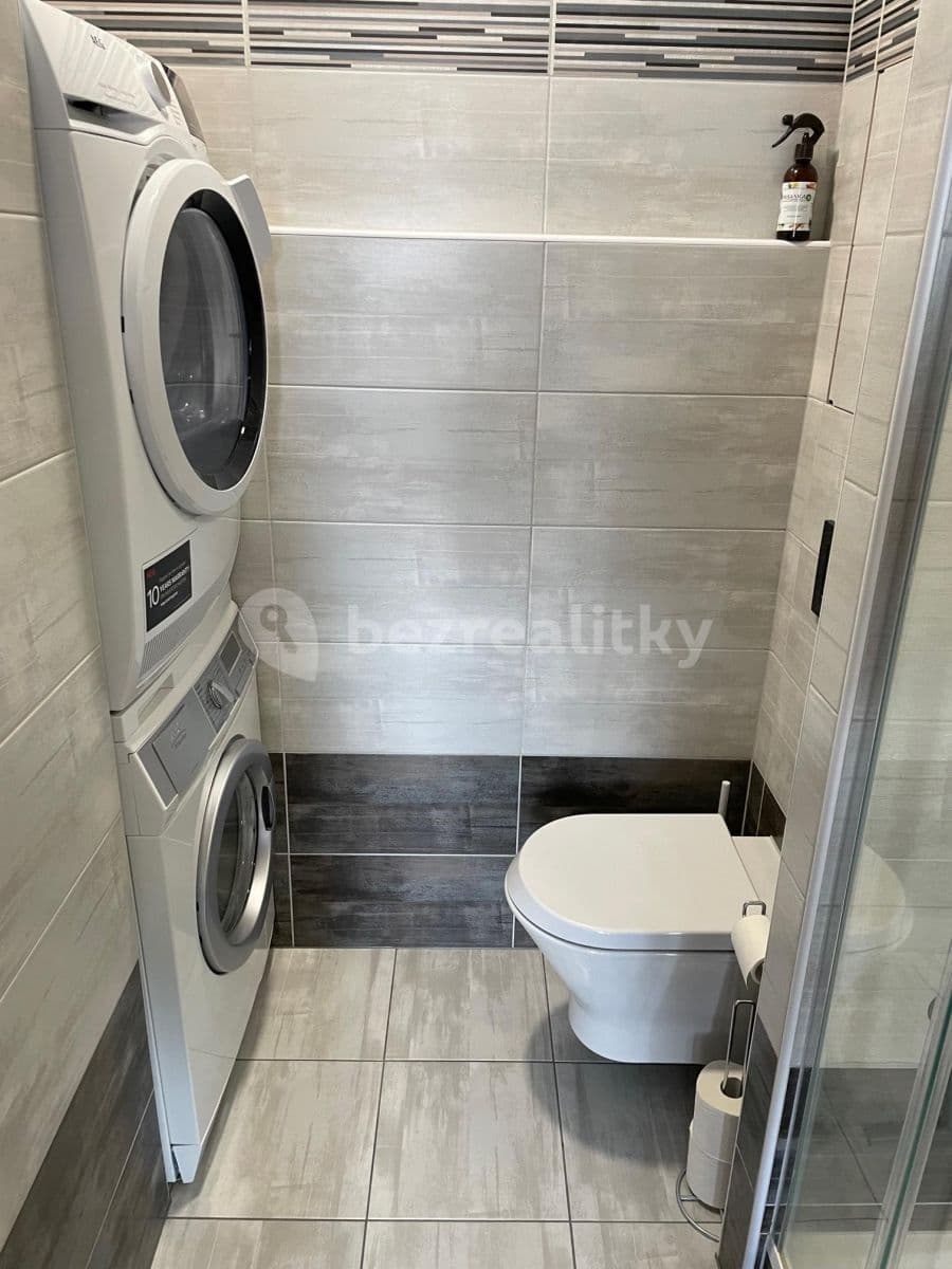 1 bedroom with open-plan kitchen flat to rent, 46 m², Prague, Prague 1 bedroom with open-plan kitchen flat to rent, 46 m², Prague, Prague