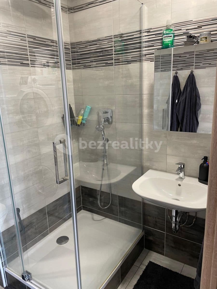 1 bedroom with open-plan kitchen flat to rent, 46 m², Prague, Prague 1 bedroom with open-plan kitchen flat to rent, 46 m², Prague, Prague