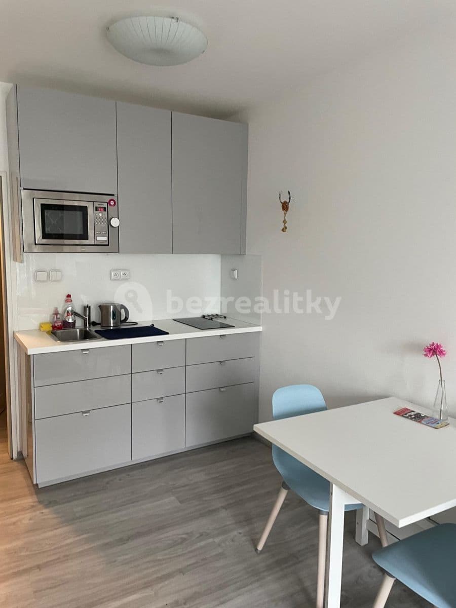 Studio flat to rent, 32 m², Herlíkovická, Prague, Prague Studio flat to rent, 32 m², Herlíkovická, Prague, Prague