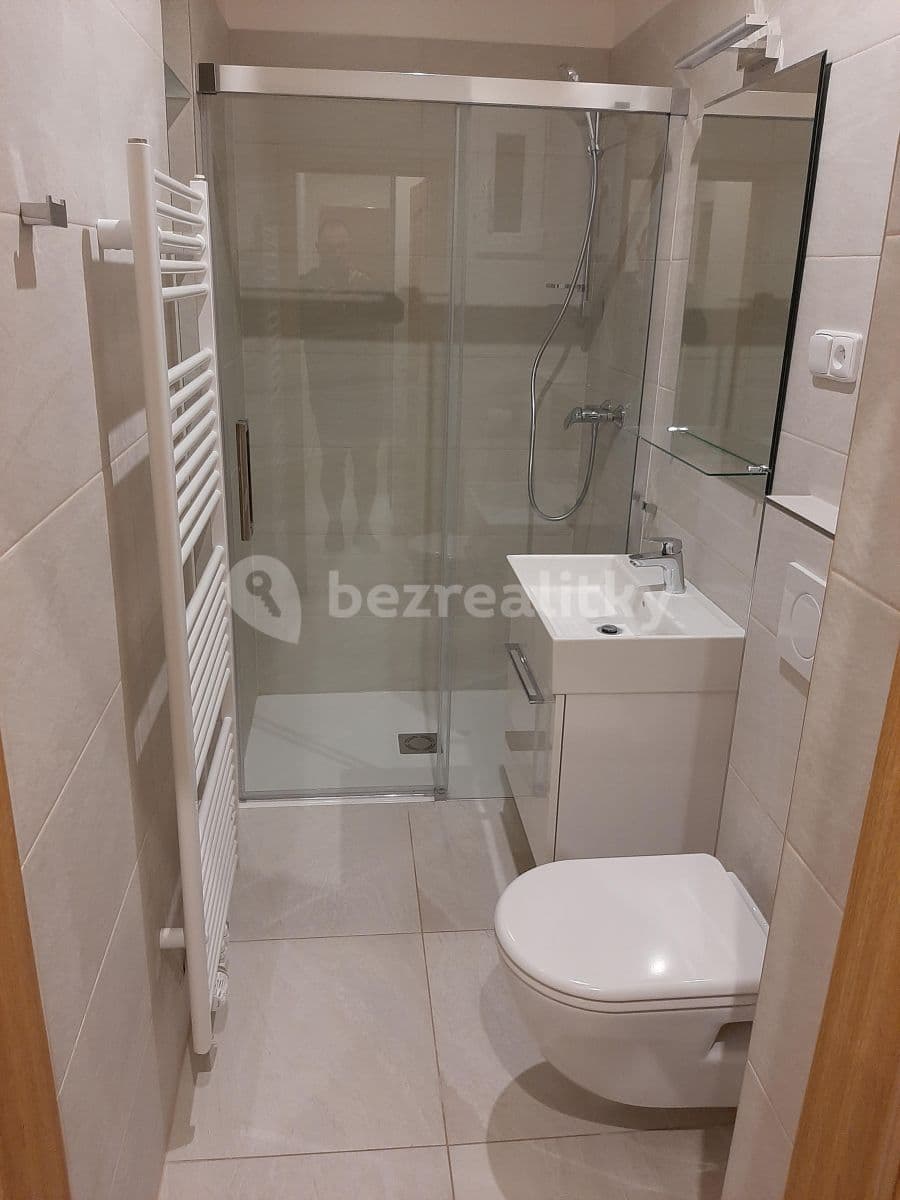1 bedroom with open-plan kitchen flat to rent, 51 m², Písecká, Prague, Prague 1 bedroom with open-plan kitchen flat to rent, 51 m², Písecká, Prague, Prague