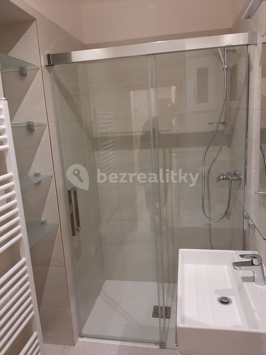 1 bedroom with open-plan kitchen flat to rent, 51 m², Písecká, Prague, Prague 1 bedroom with open-plan kitchen flat to rent, 51 m², Písecká, Prague, Prague
