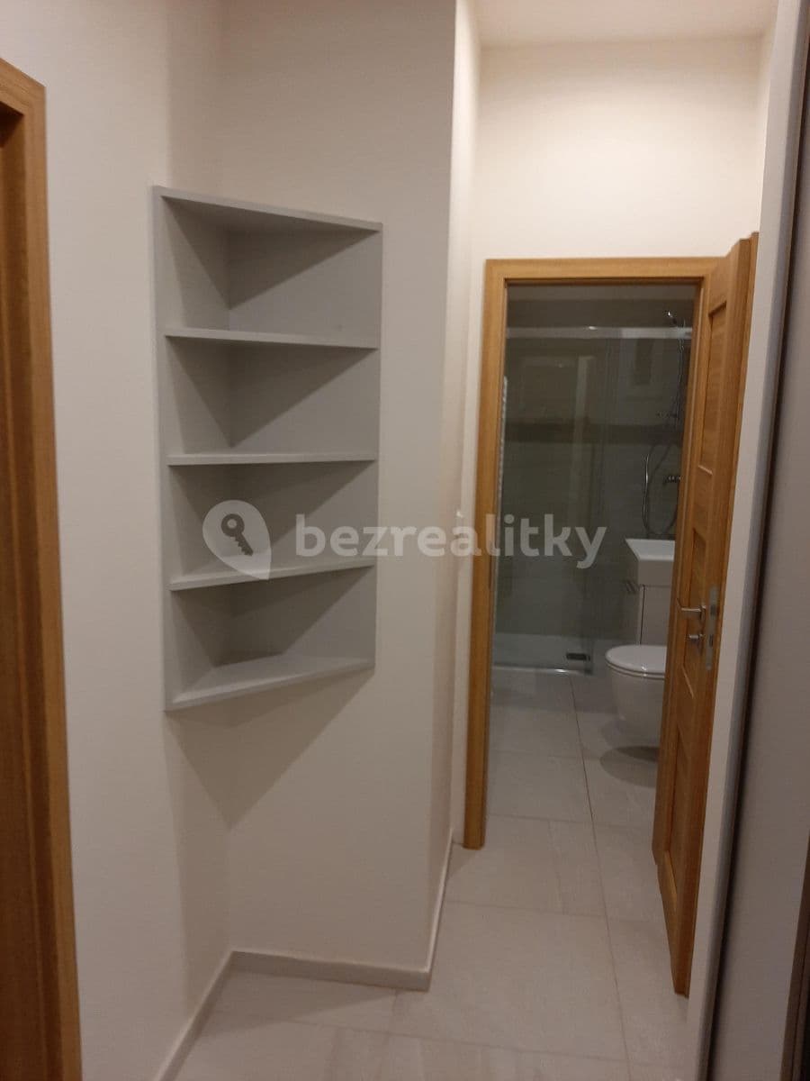 1 bedroom with open-plan kitchen flat to rent, 51 m², Písecká, Prague, Prague 1 bedroom with open-plan kitchen flat to rent, 51 m², Písecká, Prague, Prague