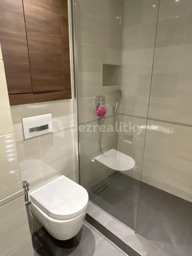 1 bedroom with open-plan kitchen flat to rent, 66 m², Puškinova, Hradec Králové, Královéhradecký Region 1 bedroom with open-plan kitchen flat to rent, 66 m², Puškinova, Hradec Králové, Královéhradecký Region
