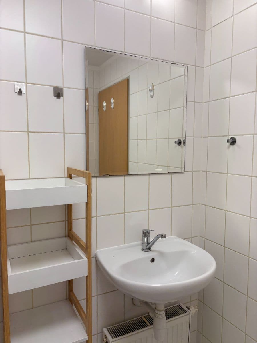 Studio flat to rent, 37 m², Kostomlatská, Prague, Prague Studio flat to rent, 37 m², Kostomlatská, Prague, Prague
