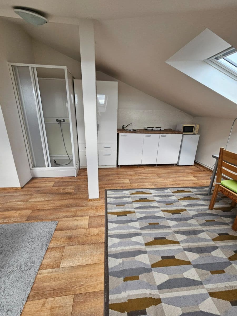 Studio flat to rent, 28 m², Nad Šárkou, Prague, Prague Studio flat to rent, 28 m², Nad Šárkou, Prague, Prague