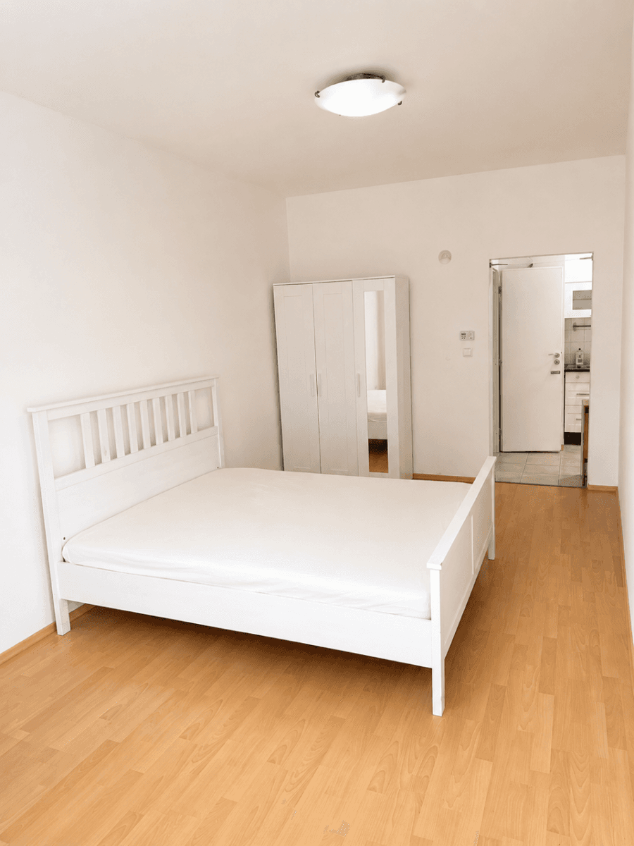 1 bedroom with open-plan kitchen flat to rent, 50 m², Mládeže, Prague, Prague 1 bedroom with open-plan kitchen flat to rent, 50 m², Mládeže, Prague, Prague