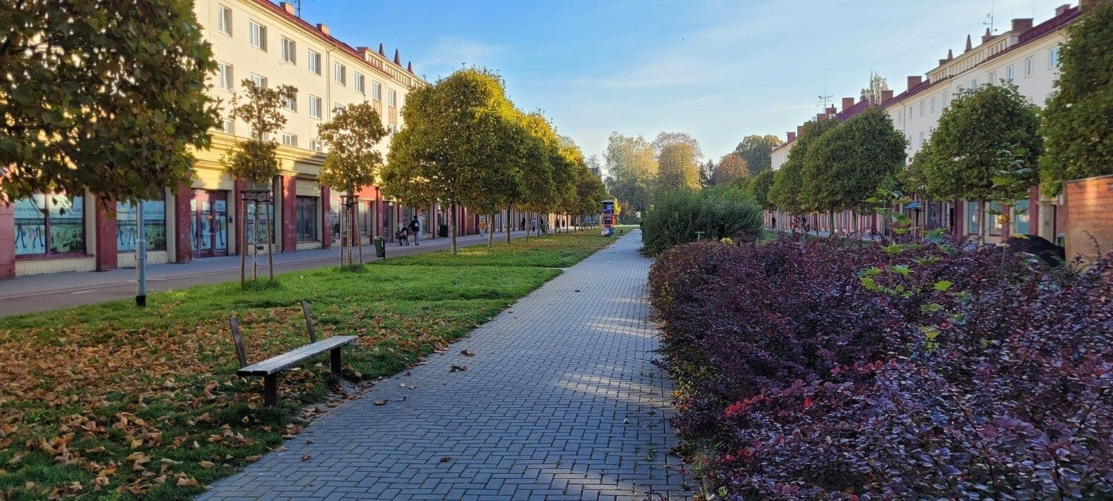 office to rent, 93 m², Sapíkova, Karviná, Moravskoslezský Region office to rent, 93 m², Sapíkova, Karviná, Moravskoslezský Region