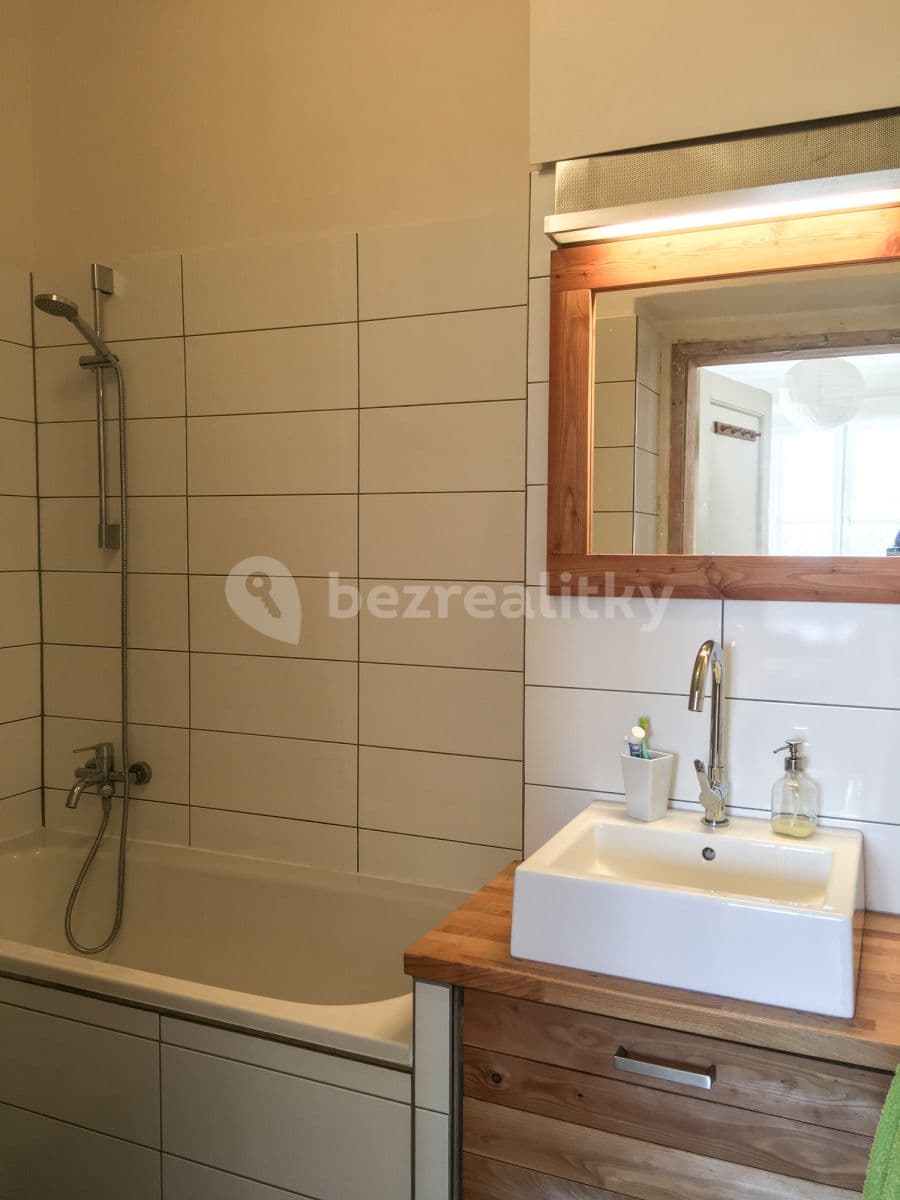 1 bedroom with open-plan kitchen flat to rent, 42 m², Nad Popelkou, Prague, Prague 1 bedroom with open-plan kitchen flat to rent, 42 m², Nad Popelkou, Prague, Prague